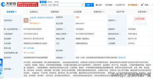 尼康儀器上海公司注銷 計算機軟件產業變革的信號？